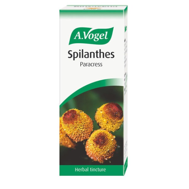 A.VOGEL SPILANTHES OLERACEA 50ml