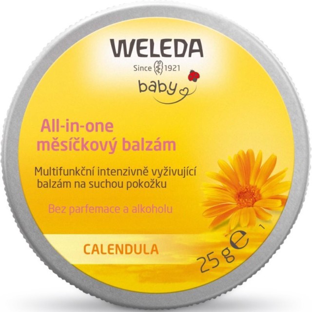 Weleda Baby Ενυδατικό Βάλσαμο Για Πρόσωπο & Χείλη Για Την Ξηρή Βρεφική Επιδερμίδα 25gr