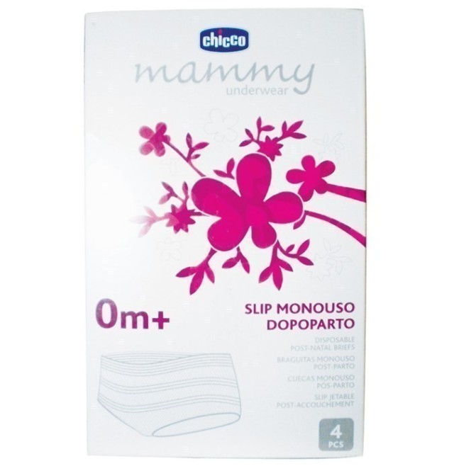 CHICCO MAMMY ΣΛΙΠ ΕΛΑΣΤΙΚΟ ΔΙΧΤΥ 4τμχ
