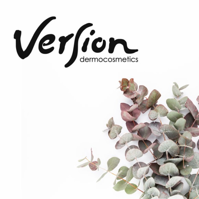 VERSION